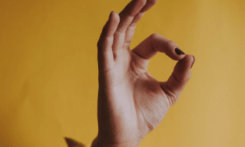 Wnbgzmzyjpdf8eocsevb