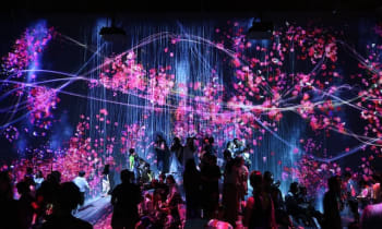 Zvdc8erjtanhqfcu73us