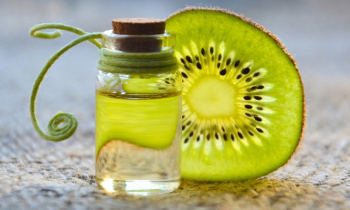 Zwcqrvgho8iuo4fzss4z