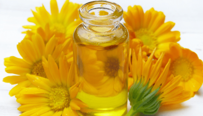 A56geyo13lrskj1jub7s