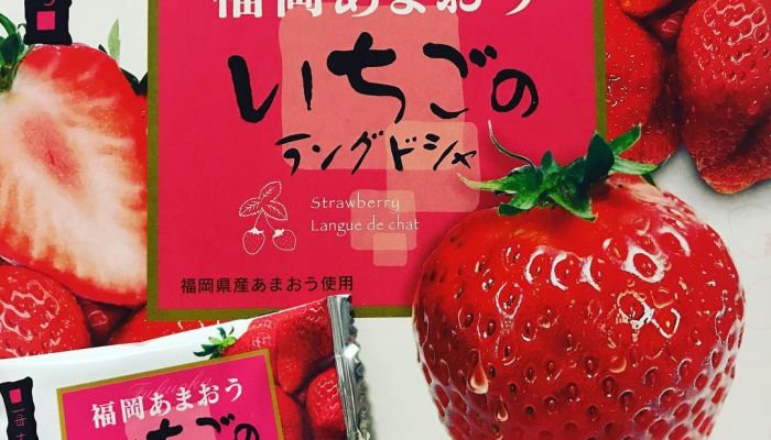 安くて人気 福岡のお菓子お土産ランキング15 年度版