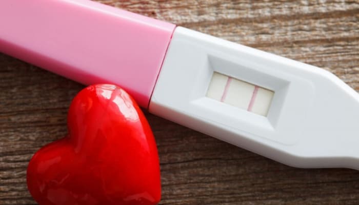 Bd83dwwltpdxt8h5dimy