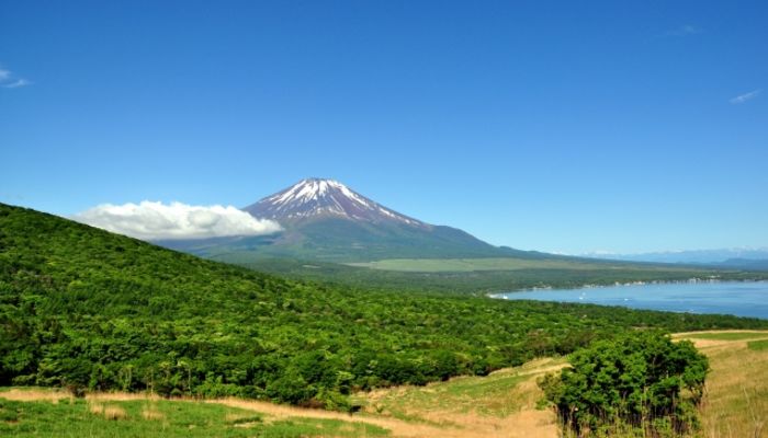 山中湖の人気お土産ランキング5 山梨 お土産屋さんの情報なども合わせてご紹介