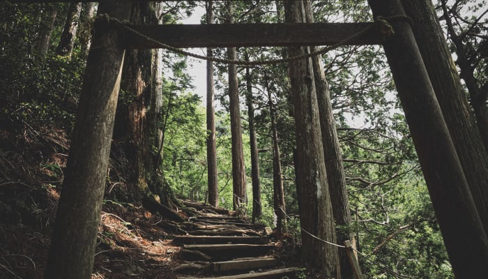 Fchqh5cixigxdnmotnnh