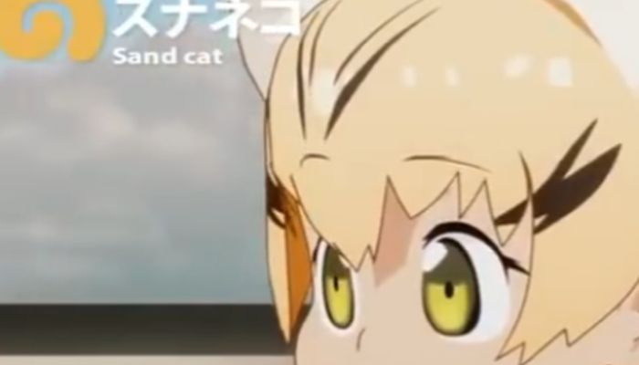 けものフレンズ スナネコのかわいいセリフや声優情報などをご紹介