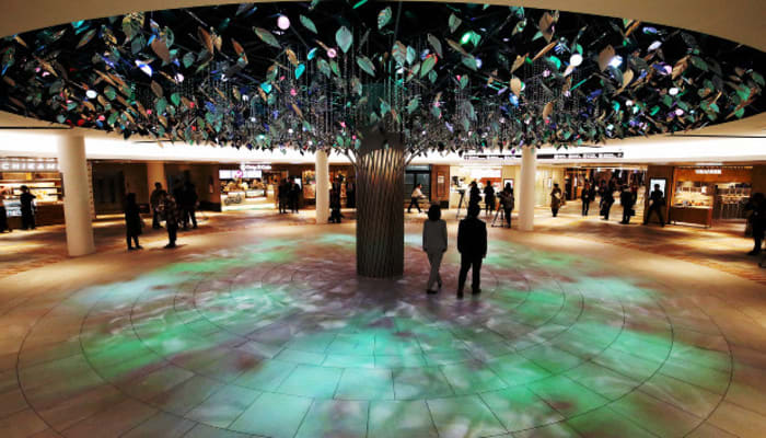 Iqsmsjj60tghanlnxurb