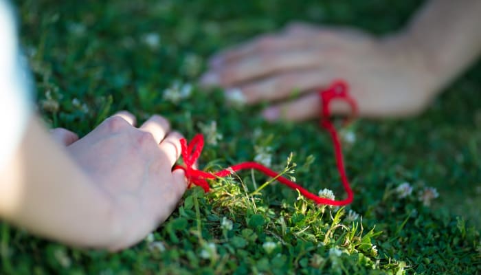 J44cq99ktezpbnio54zn