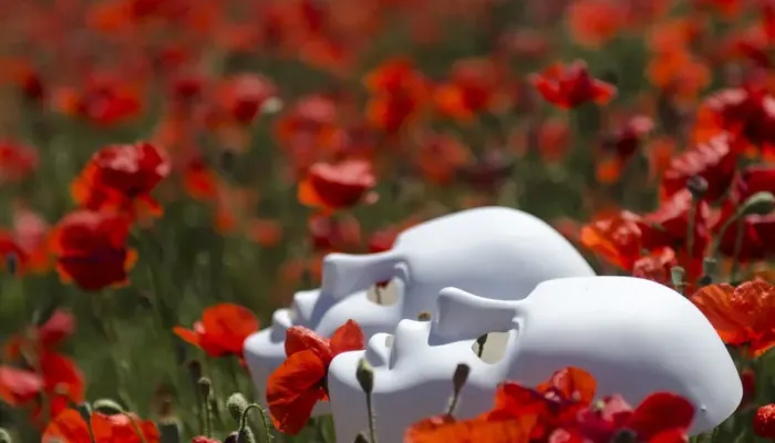 Jdywyklottjoq0zoonf9