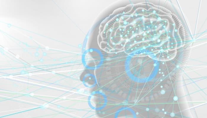 Jha01pls16gnzkflcd6t