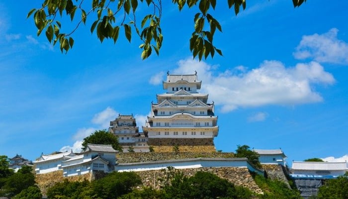 Kyn3wac1m1pxpp3xrmvb