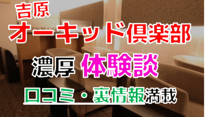 O6ip3lnffqabe2fvlgub