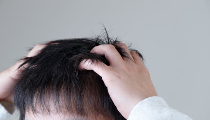 Qmubhbxvin2qaiwgpjlt