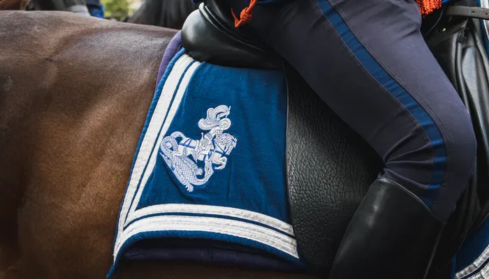 Rdsjisrnhmhhbjibcsup