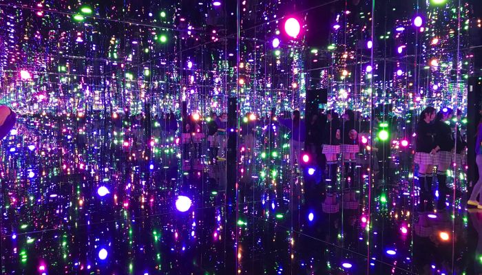 Sd7djjpaenwwikkbuuwh