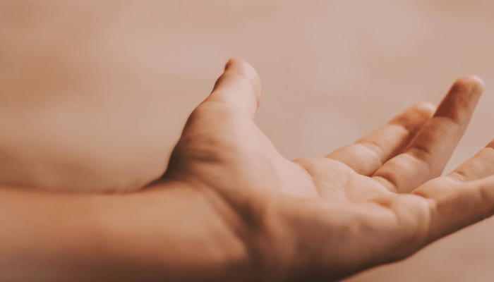 Szdklzykbqhpjaelc5gl