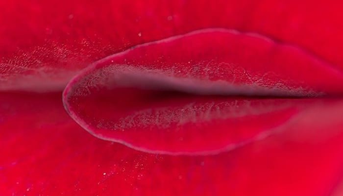 To8nyx738bop1blbukjv