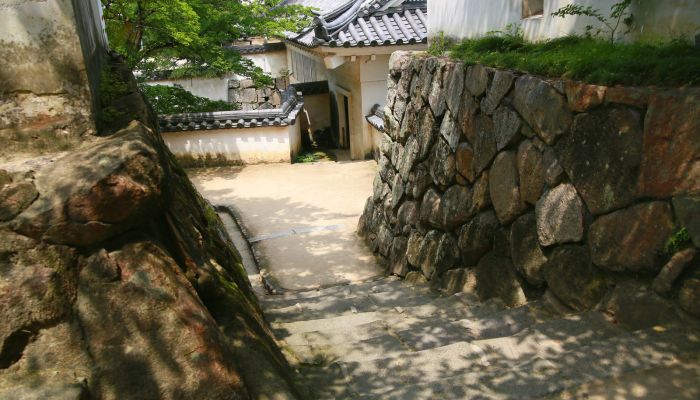 Upmtkxvgn1ujdsft4ead