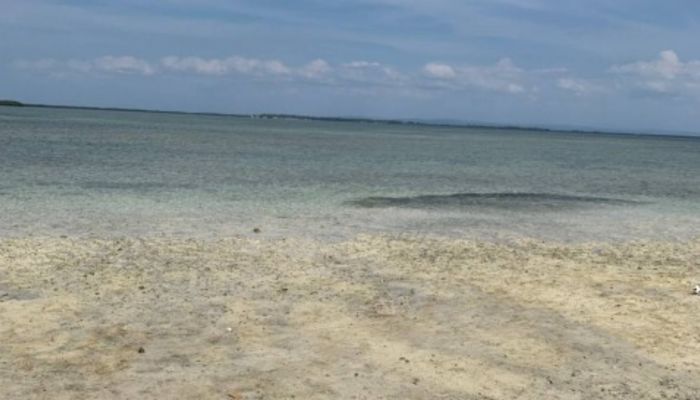 Vh2hxew2rkvgsouq38jv