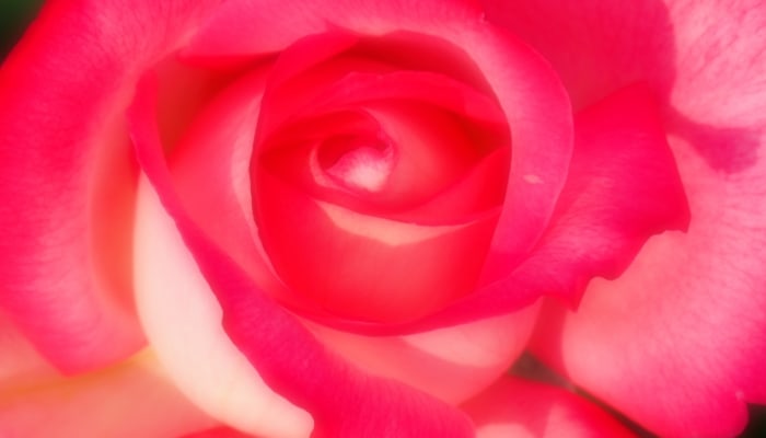 Vhitmgs4xiy1x7dt9xd4