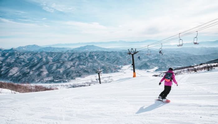 Vswx2oquir5knbw55i49