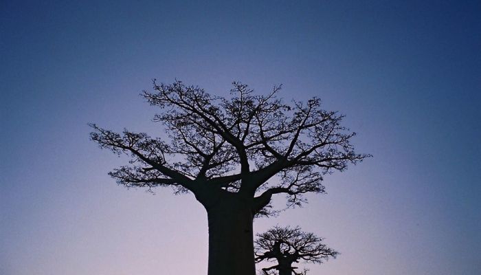 X3l6rpqkuimbzvodpaxv