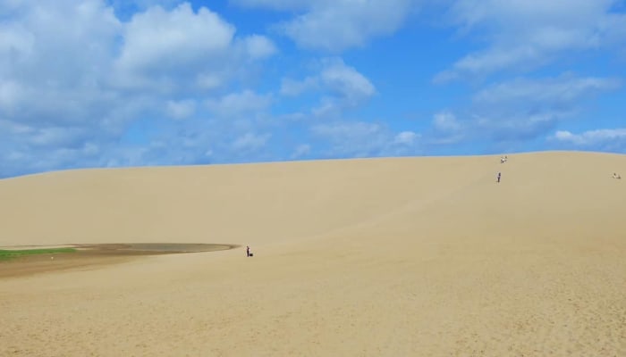 Xm7nooxbchasljhpl6hh