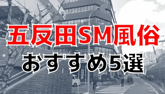 Xobrgv1qrvwtll7avtn1