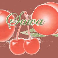 Pghujpm1rmbhssig8lef