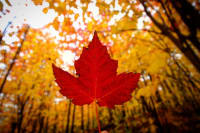 Yoveyqaztowb7mcef6wr