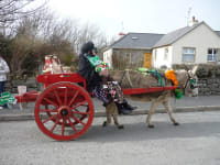 Iv7tz3xkztssmllmrnxn