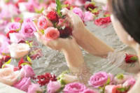 N0zyphpdffg7xenapqus