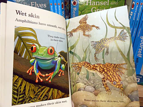 英語の絵本「Ladybird」“Reptile and amphibians”