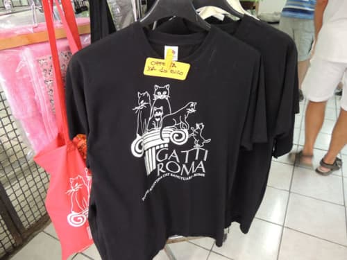 ローマ 猫