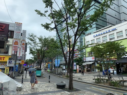 韓国在住者が紹介 ソウルの気候の1年間の違いとベストシーズンまとめ