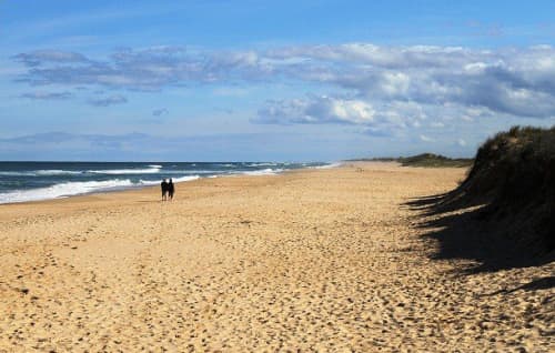 Ninety mile Beach