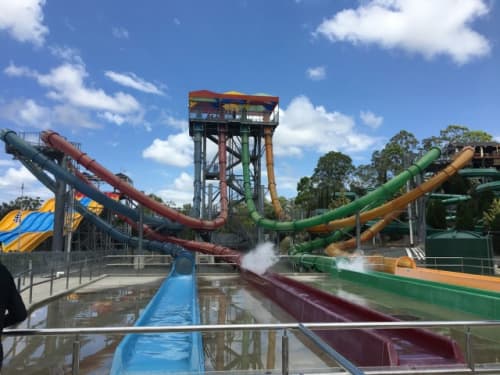 ウェトンワイルド