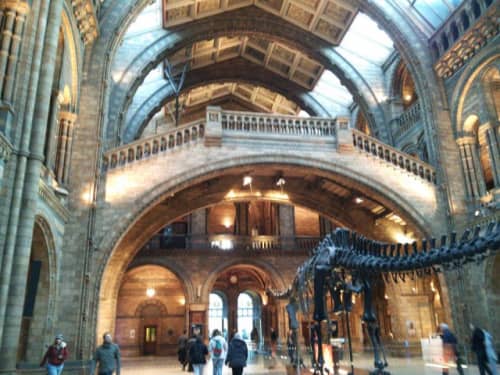 自然史博物館ホール