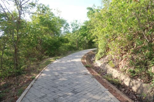 ラン島 道路