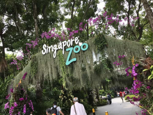 シンガポール動物園
