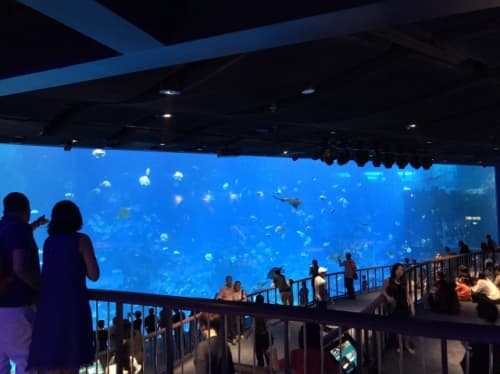 シーアクアリウムの水槽