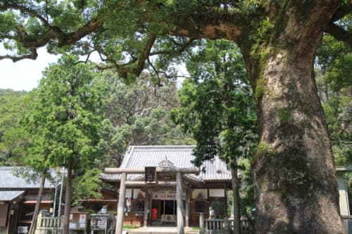 日和佐八幡神社