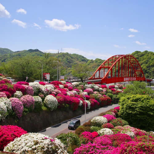 春の音戸大橋