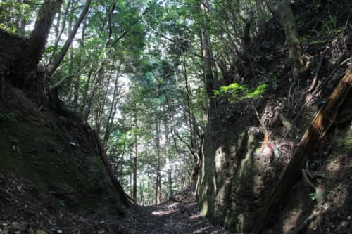 大寶寺道 峠