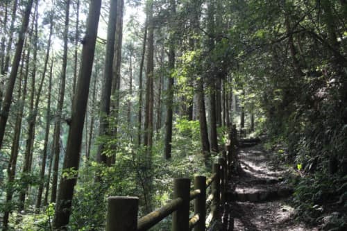 大寶寺道 登り