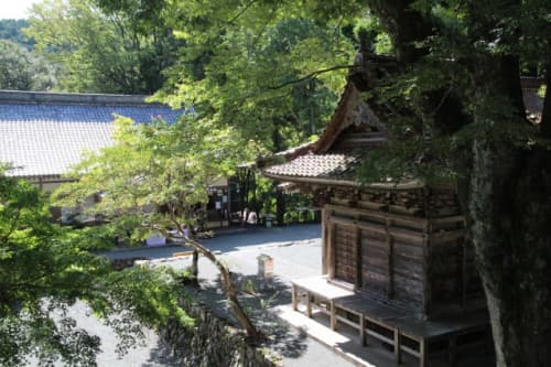 明石寺 木々