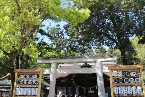 武田神社 本殿