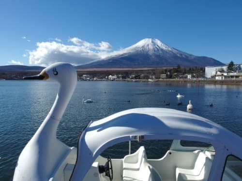 山中湖 スワンボート