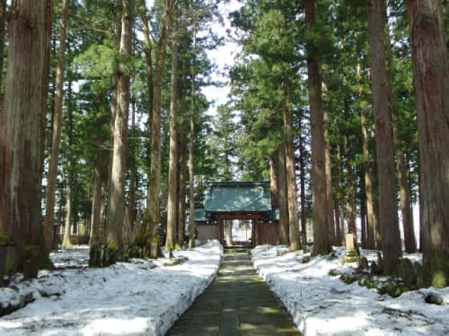 雲洞庵　参道