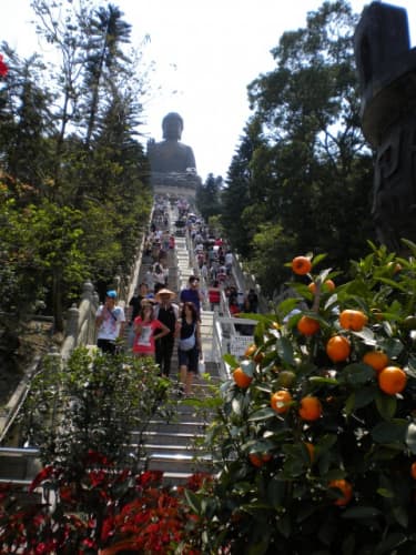 大仏 階段