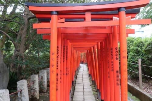 根津神社の千本鳥居